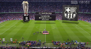 永久铭记！佩德罗-波罗在身上纹了欧联冠军奖杯图案（为铭记荣耀，佩德罗-波罗纹上欧联冠军奖杯）